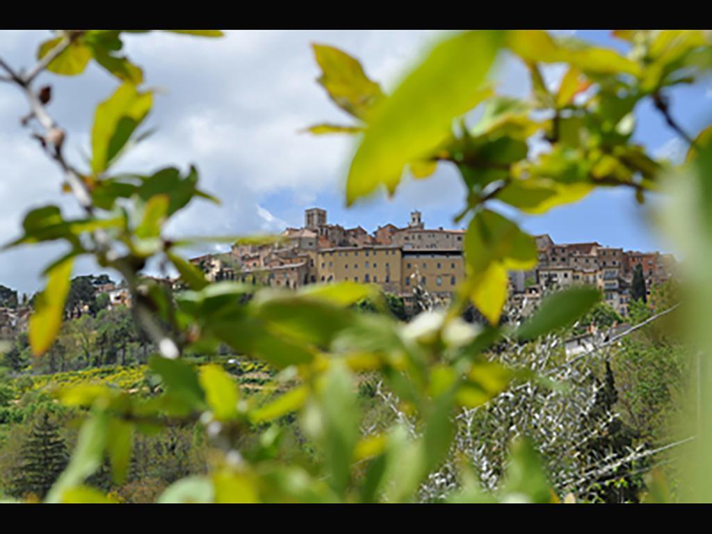 La Casina Toscana Montepulciano Stazione Exterior foto
